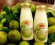 “Olive’s Milk” New Choice for Health Care
