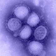 Physicians nationwide called for a meeting to tackle the influenza thumbnail