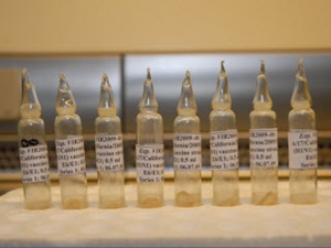 Russian H1N1 seed virus for vaccine trials mutates thumbnail