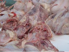Thailand urges Japan to lift ban on Thai fresh poultry imports thumbnail