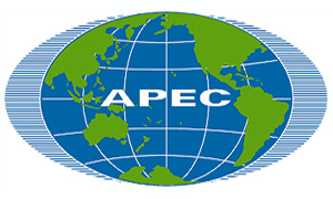 Summary of the 9th APEC Energy Meeting thumbnail