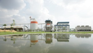 Mungcharoen Biomass Project daytime